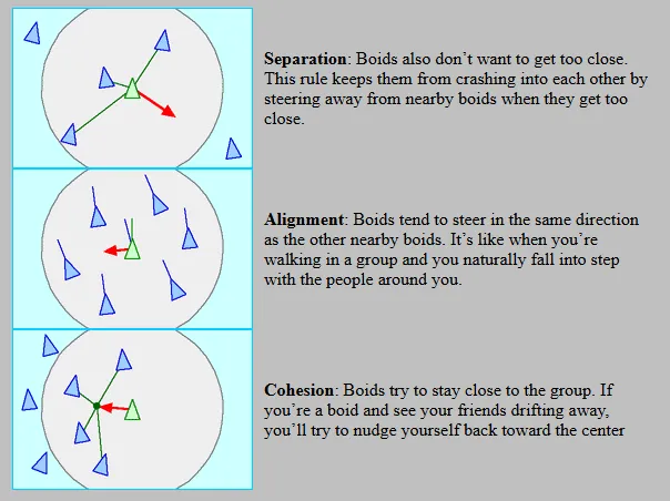 Boids Rules